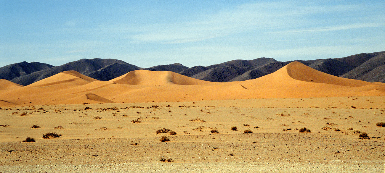 mar04_3_008 pano.jpg - Sud, octobre-novembre 2004 entre Taouz et l'oasis des dunes superbes Fuji PROVIA 400 F
